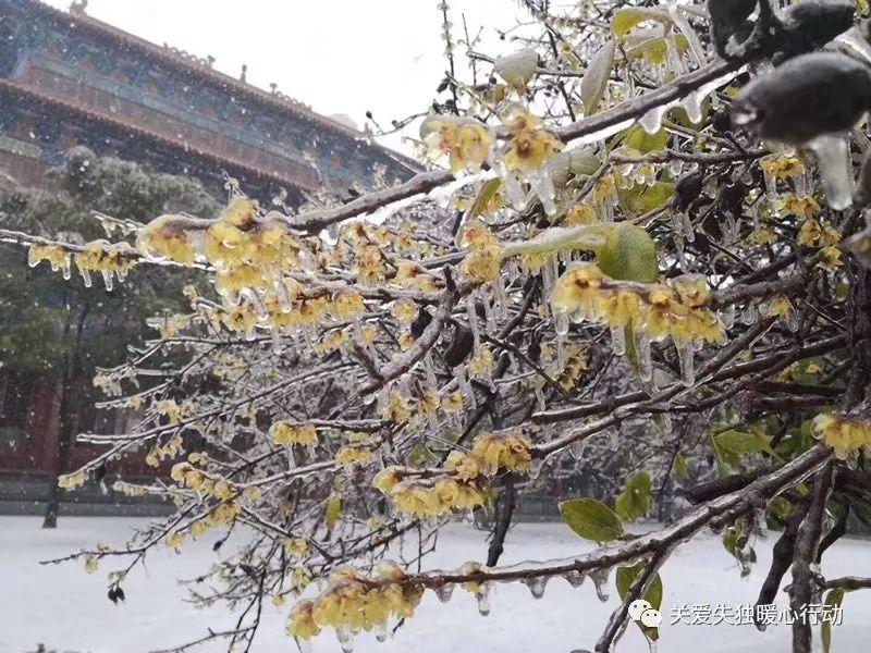【微课重播-3】毕可鹰：用艺术来治疗抑郁症