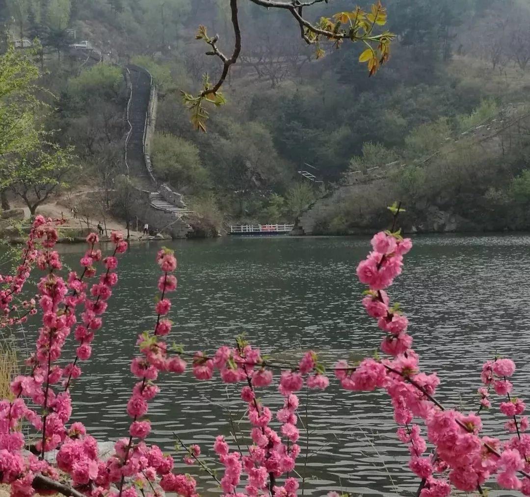 谷雨时节 相约怀柔 为绿化祖国 播种下我们的美好心愿