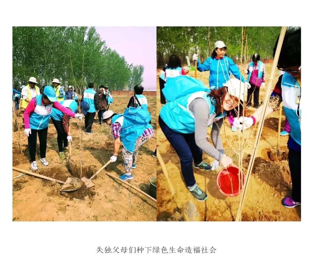 全国近千名失独老人联合开展公益植树活动 全国近千名失独老人联合开展公益植树活动