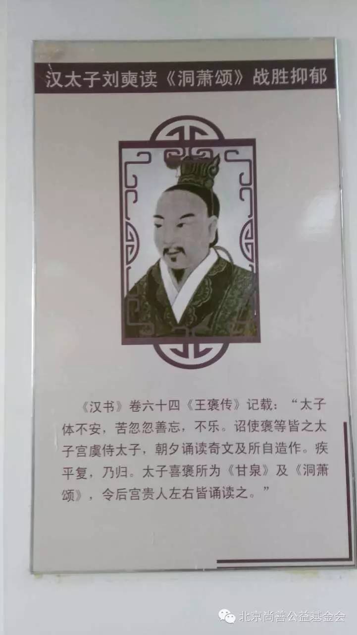 423世界读书日，看这个《疗愈大学生失恋抑郁障碍的阅读疗法书方配伍》