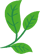 全国近千名失独老人联合开展公益植树活动 全国近千名失独老人联合开展公益植树活动