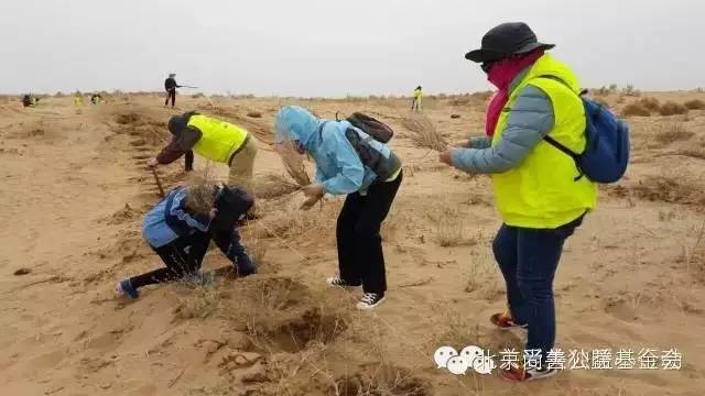 暖心植树节内蒙行，近百位失独老人走进沙漠种下希望