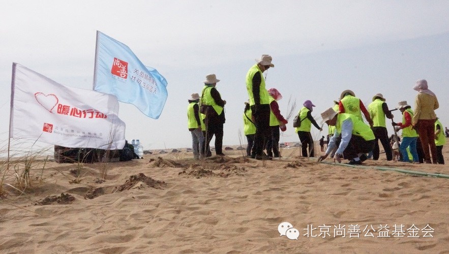 失独不失爱，种下绿色“心”希望——“关爱失独，暖心行动”公益植树内蒙行