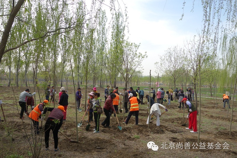 4月17日：第三场暖心植树节圆满结束