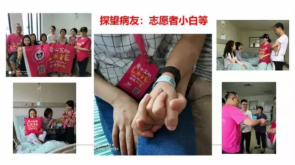 精彩回顾6|年度最佳作品:爱咪讲述“郁金香阳光会”的故事 精彩回顾6|年度最佳作品:爱咪讲述“郁金香阳光会”的故事