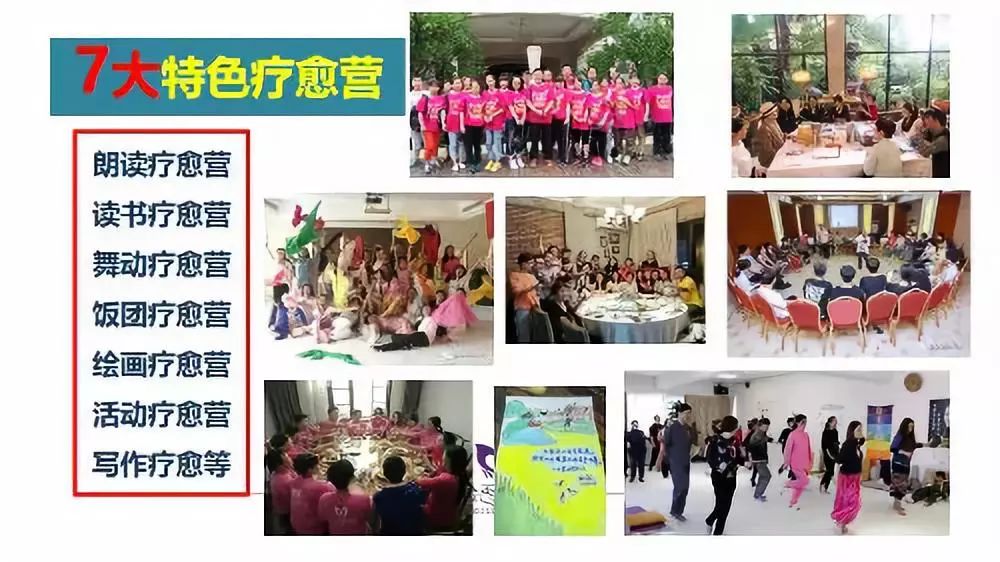 精彩回顾6|年度最佳作品:爱咪讲述“郁金香阳光会”的故事 精彩回顾6|年度最佳作品:爱咪讲述“郁金香阳光会”的故事