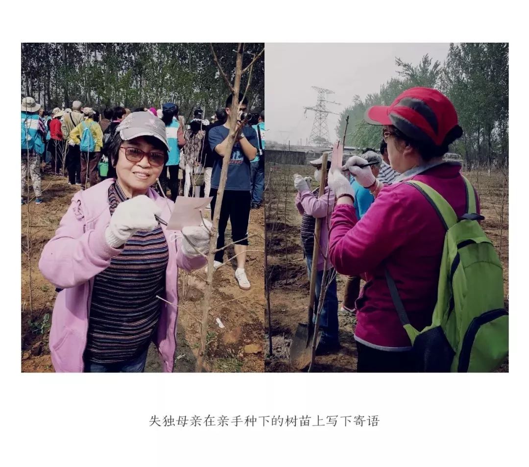 全国近千名失独老人联合开展公益植树活动 全国近千名失独老人联合开展公益植树活动
