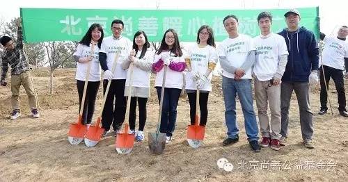 关爱失独：清明伤心时 植树暖心行
