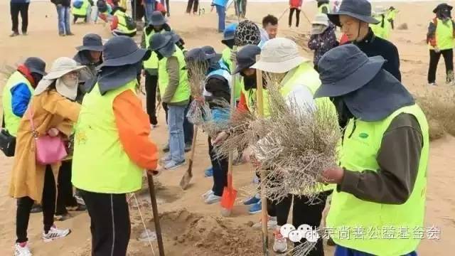 暖心植树节内蒙行，近百位失独老人走进沙漠种下希望