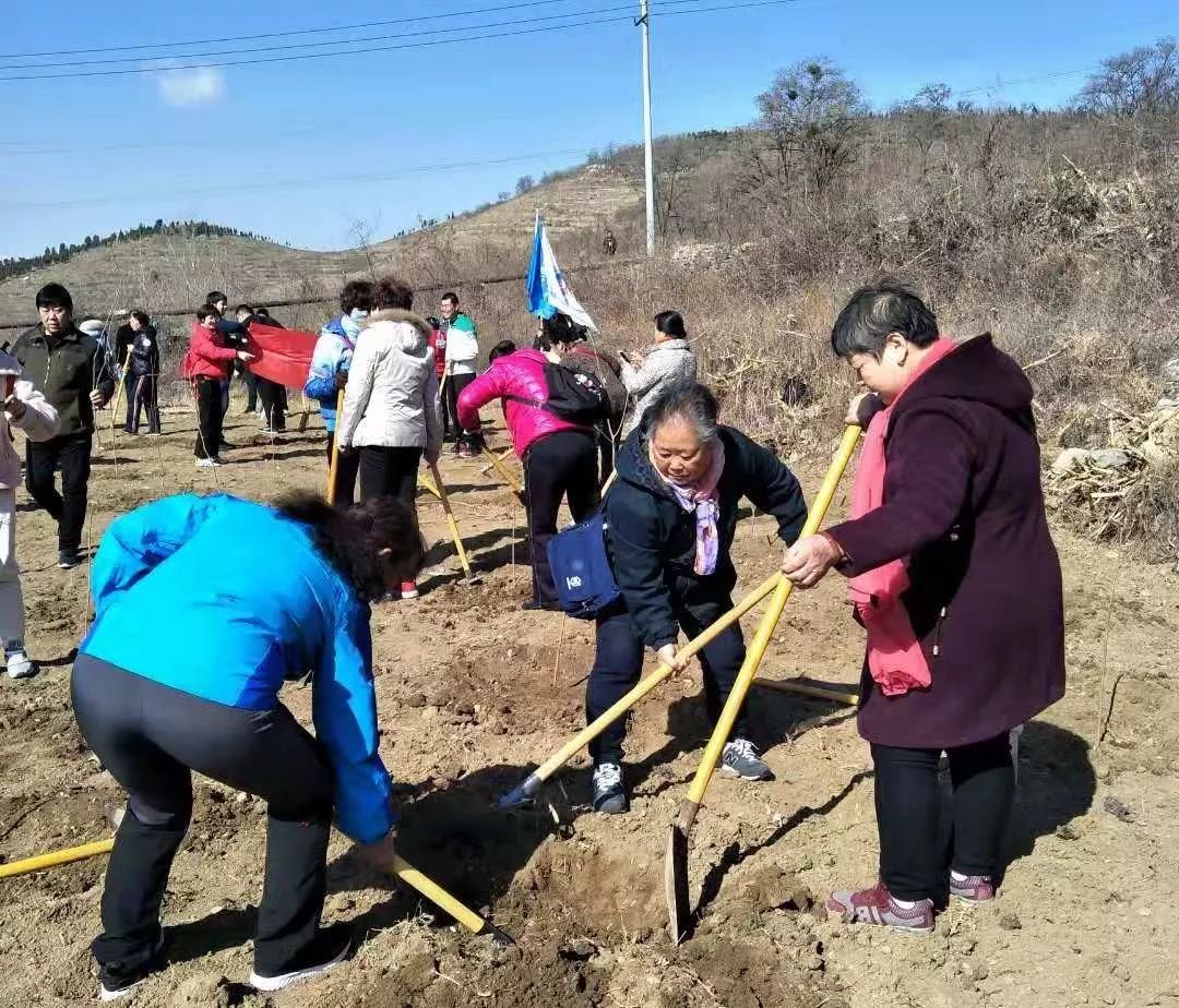 2019年｜暖心植树节 情暖四月天