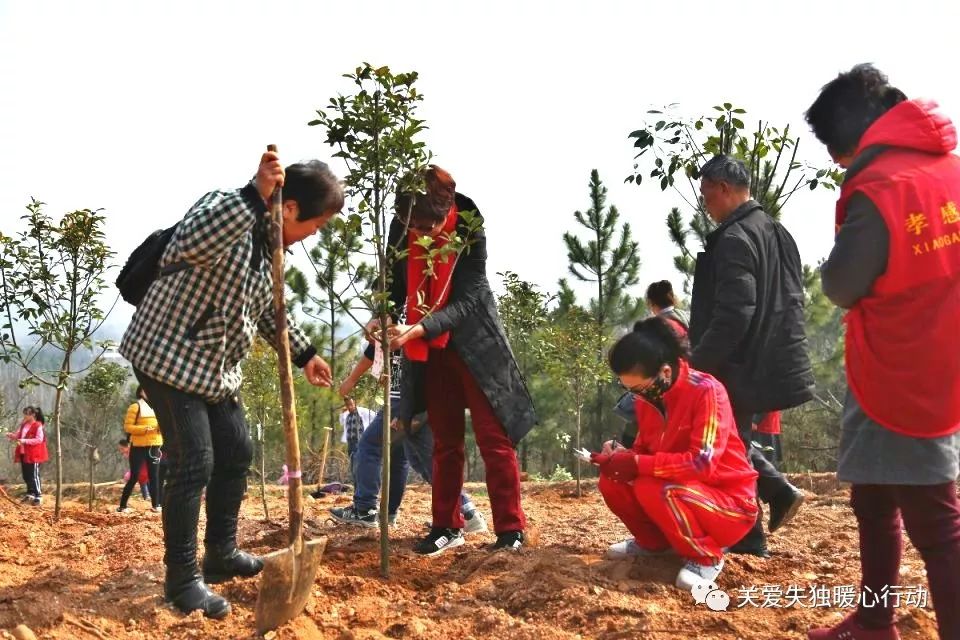 2019年｜暖心植树节 情暖四月天