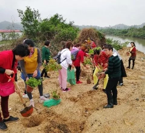 2019年｜暖心植树节 情暖四月天