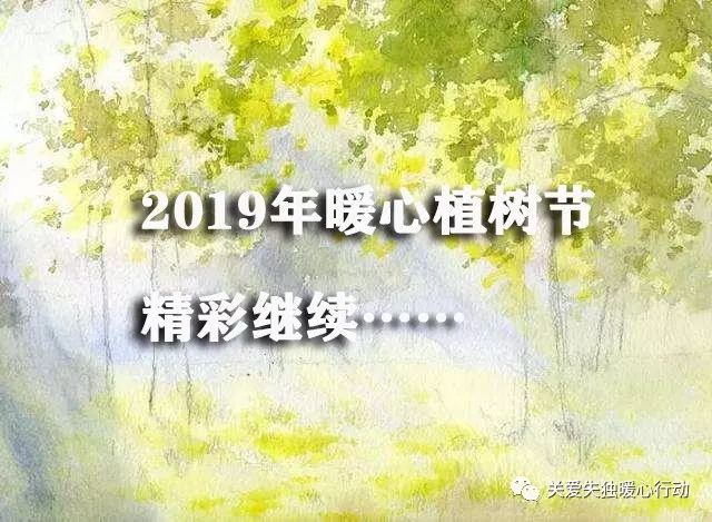 2019年｜暖心植树节 情暖四月天